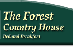 The Forest Cottages Self Catering Accomodation