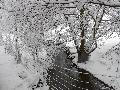 River bank in snow